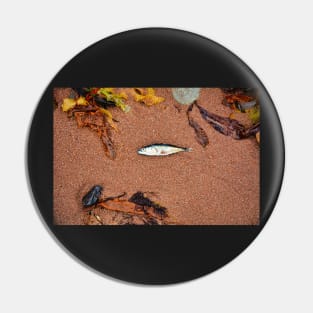 Dead Fish Pin