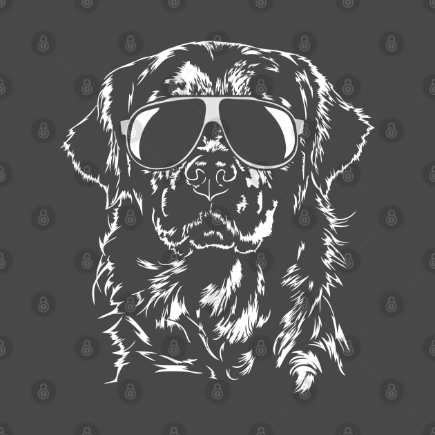 Funny Golden Retriever with sunglasses by wilsigns