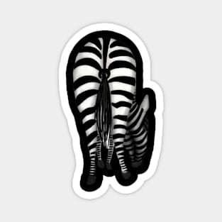 Zebra Derriere Magnet