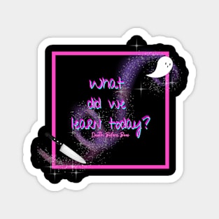 What Did We Learn (pink) Magnet