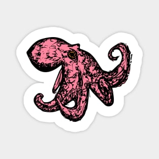 The Octopus Magnet