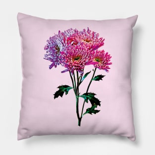 Chrysanthemums - Pink and Lavender Mums Pillow