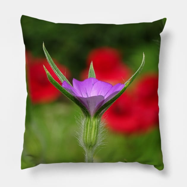 Corncockle in the Poppies Pillow by AH64D