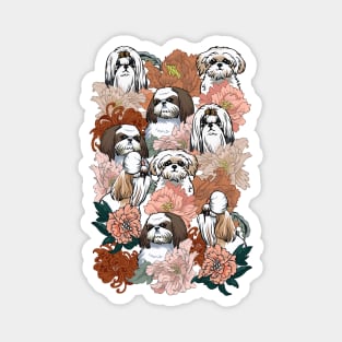 Because Shih Tzu Magnet