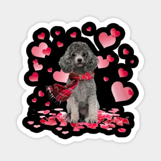 Silver Miniature Poodle Hearts Love Happy Valentine's Day Magnet