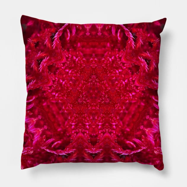 Red kaleidoscope Pillow by kcrystalfriend