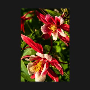 Red Columbine T-Shirt