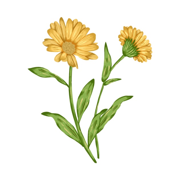 Calendula Plant 2 Botancial by Salfiart