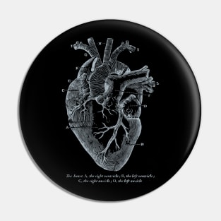 Parts of Heart' Cardiology Parts of the Heart Pin