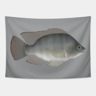 Nile Tilapia Tapestry