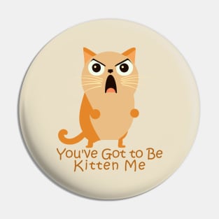 You've Got to Be Kitten Me. Pin