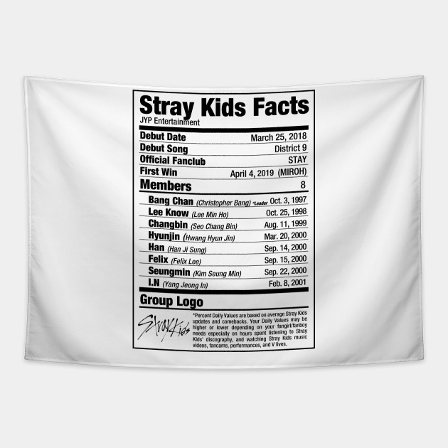 Stray Kids Kpop Nutritional Facts Stray Kids Tapestry TeePublic