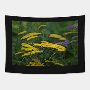 Achillea and the Red Spider Tapestry