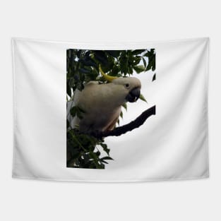 Sulphur Crested Cockatoo Tapestry