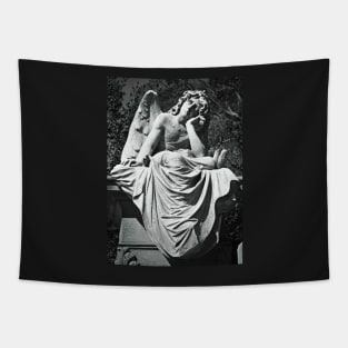 Schmidt Angel Tapestry