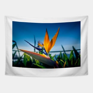 Bird of Paradise Flower 2 Tapestry