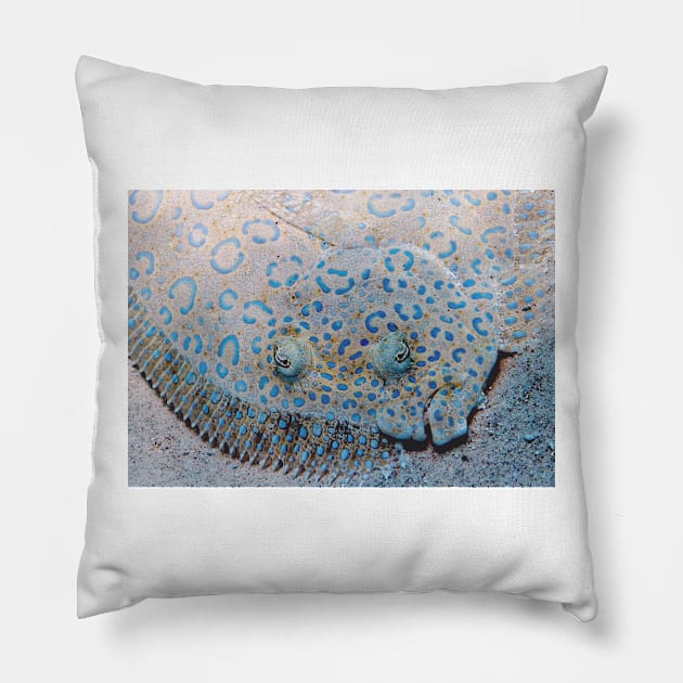 Flounder Pillow by Scubagirlamy