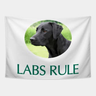 Black Labs Rule Tapestry