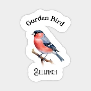 Garden Bird BullFinch Magnet