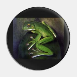 Green Tree Frog Pastel  by Adelaide Artist Avril Thomas Pin