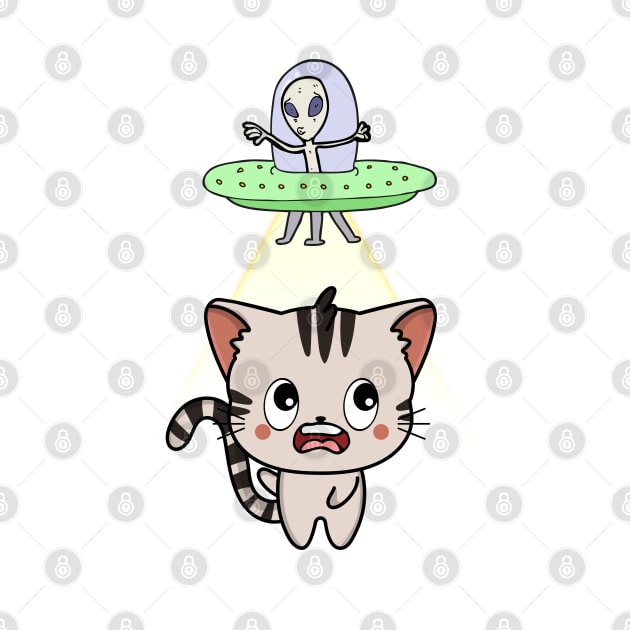 Funny tabby cat is being abducted by aliens by Pet Station