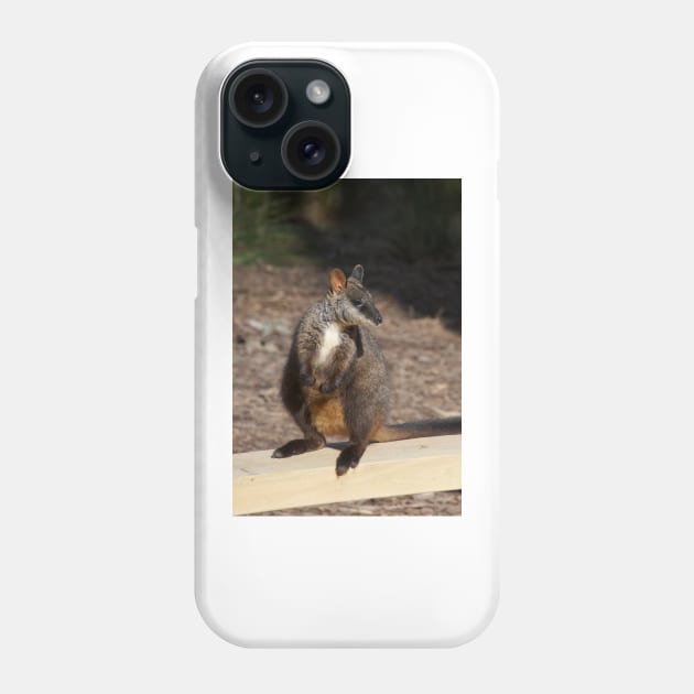 Brush Tailed Rock Wallaby Phone Case by GP1746