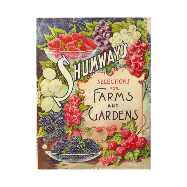 Shumway's Farms and Gardens Catalogue by WAITE-SMITH VINTAGE ART