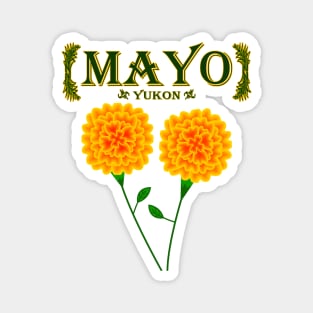 Mayo Magnet