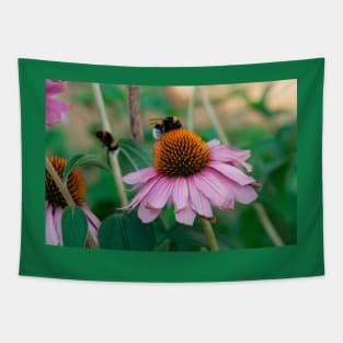 Echinacea Purpurea with Bees Tapestry