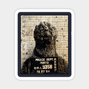Mugshot crime Magnet