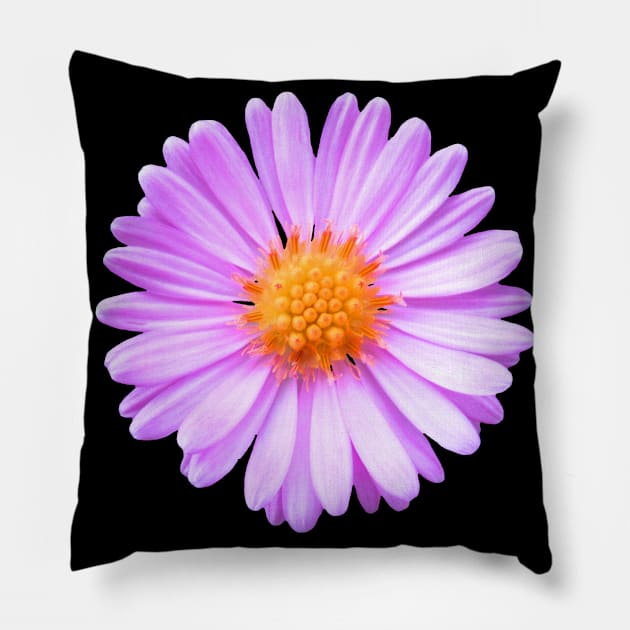 pink flower, blossom, nature, summer Pillow by rh_naturestyles