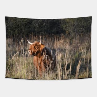 Wild cow Tapestry