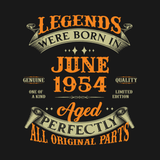 69th Birthday Gift Legends Born In June 1954 69 Years Old T-Shirt