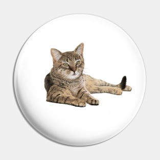 Katze Pin