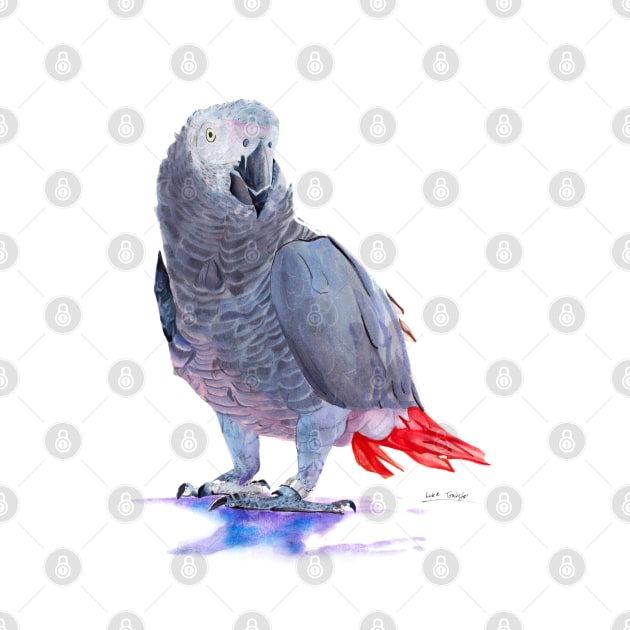 African Grey Parrot by lucafon18