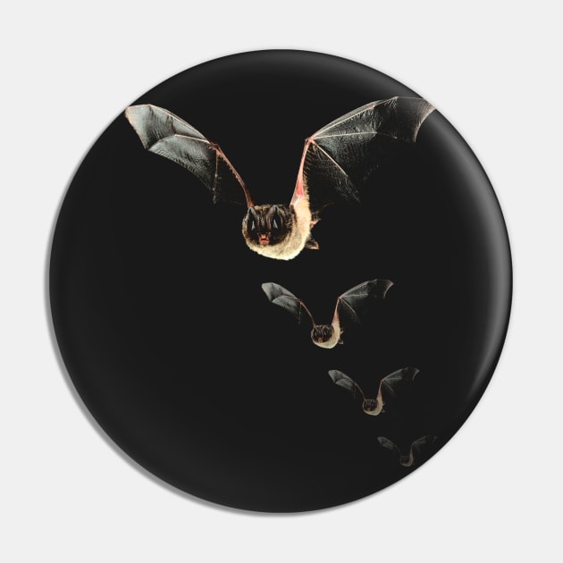 bat Pin by hottehue