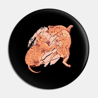 Kittens playing - wild scuffle among kittens Pin