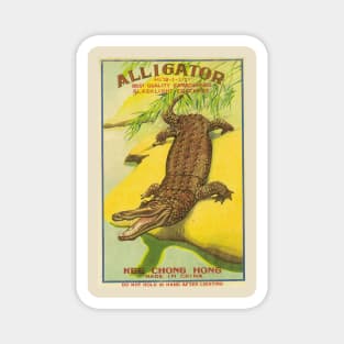 VINTAGE FIRECRACKER ALLIGATOR Magnet