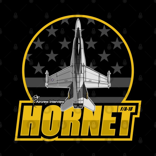 F/A-18 Hornet by Aircrew Interview