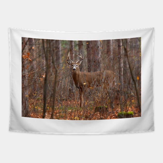 In the Stillness of the Woods - White-tailed Deer Tapestry by Jim Cumming