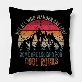 Funny Geologist Mineral Rock Collector Pillow