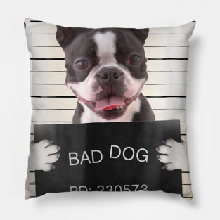 Boston Terrier Bad Dog Pillow