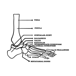 Foot anatomy skeletal system T-Shirt