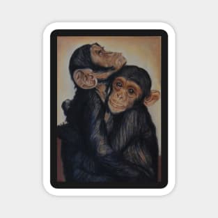 Cuddles have it! :o) Chimps Magnet