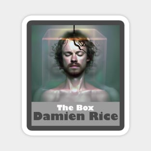 Damien Rice The Box Magnet