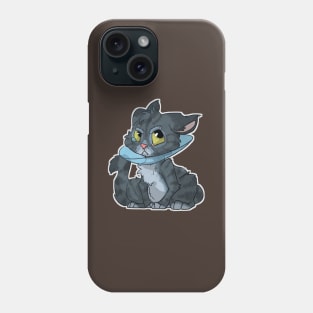 Cat in cone Phone Case