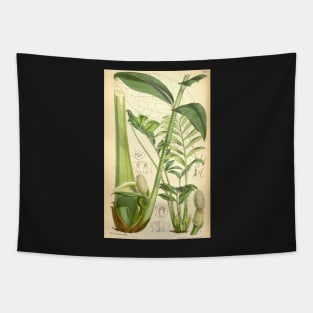 ZZ plant - botanical illustration Tapestry