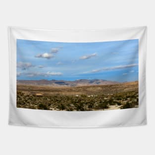 Anza Borrego Desert State Park Tapestry