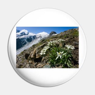 Edelweiss and glacier (C007/0409) Pin