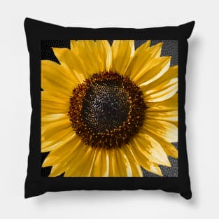 Sunflower Graphic Art Design Yellow & Brown Close-Up Flower face masks, Phone Cases, Apparel & Gifts Pillow